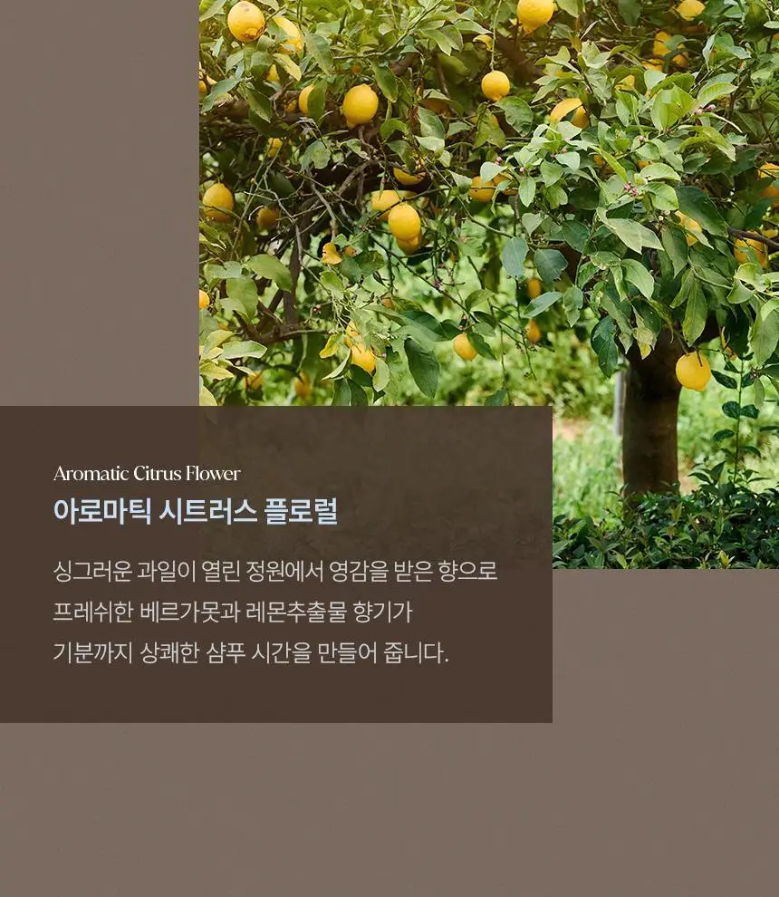 [신규런칭/손상모복구] 이드르르 인텐시브 클리닉 헤어팩 200ml 상세페이지 39